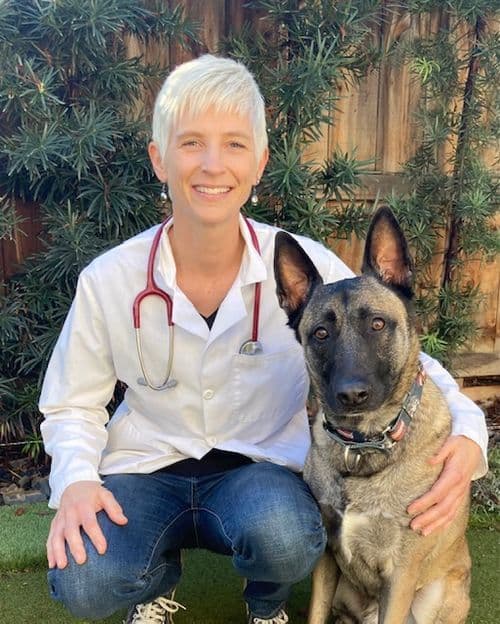 CodaPet licensed veterinarian