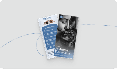 Request Free Rack Cards