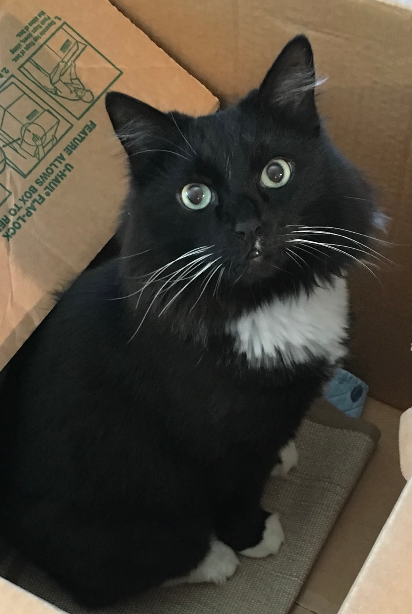 Review by Angela W.