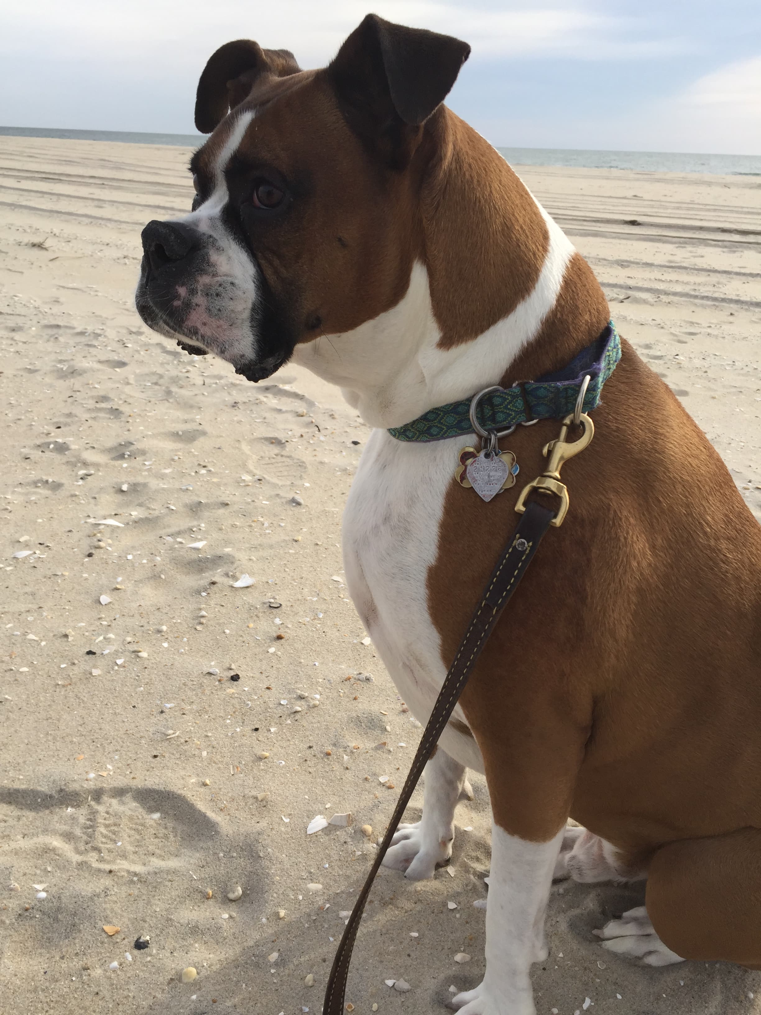 Review by Cathy W.
