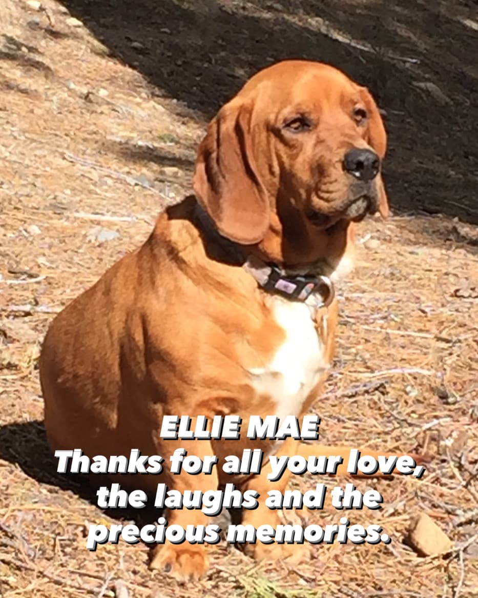 Memorial photo of Ellie Mae