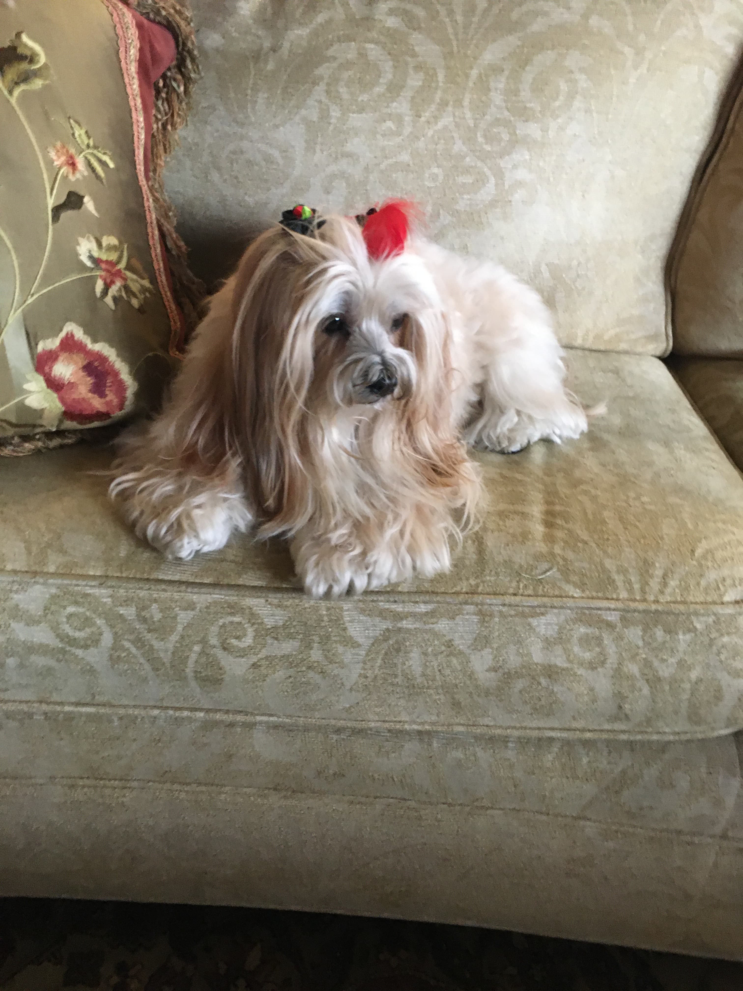 Review by Roslyn M.