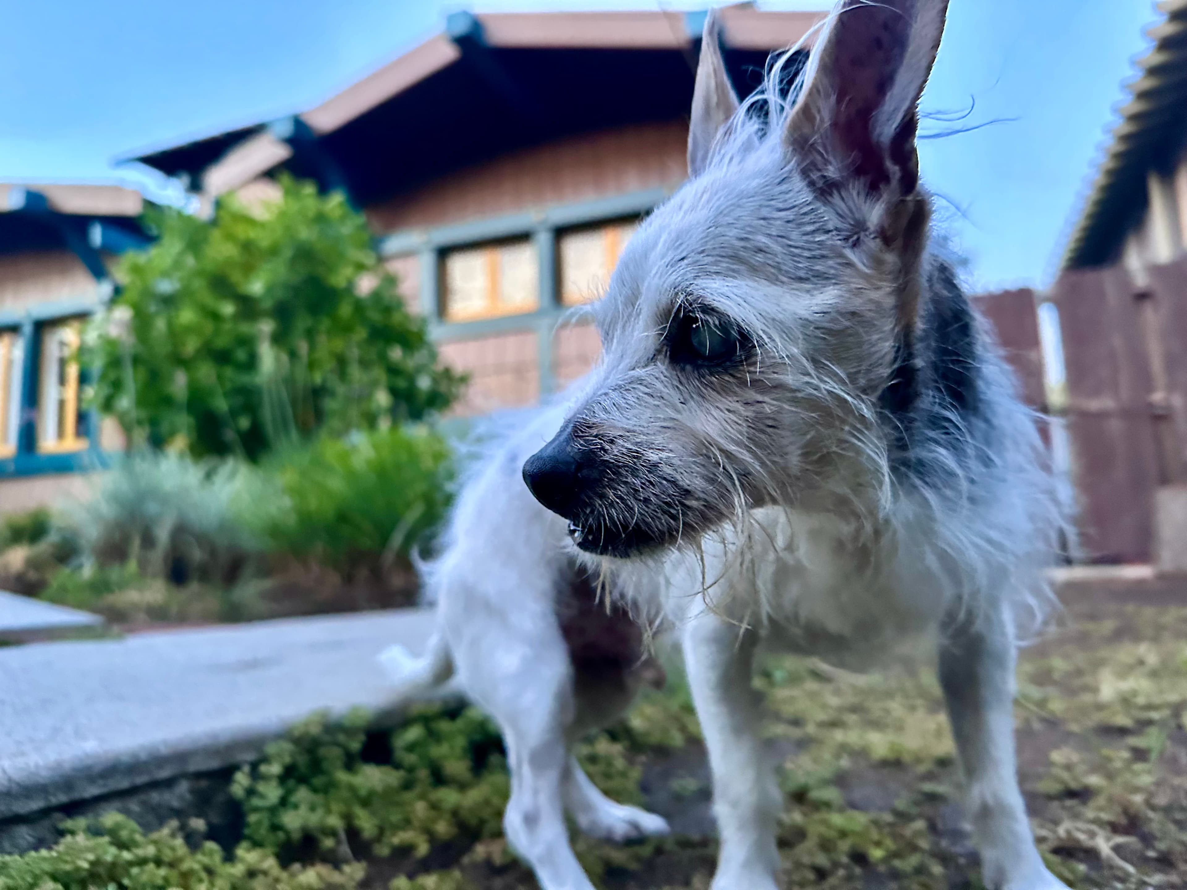 Memorial photo of Jimmy