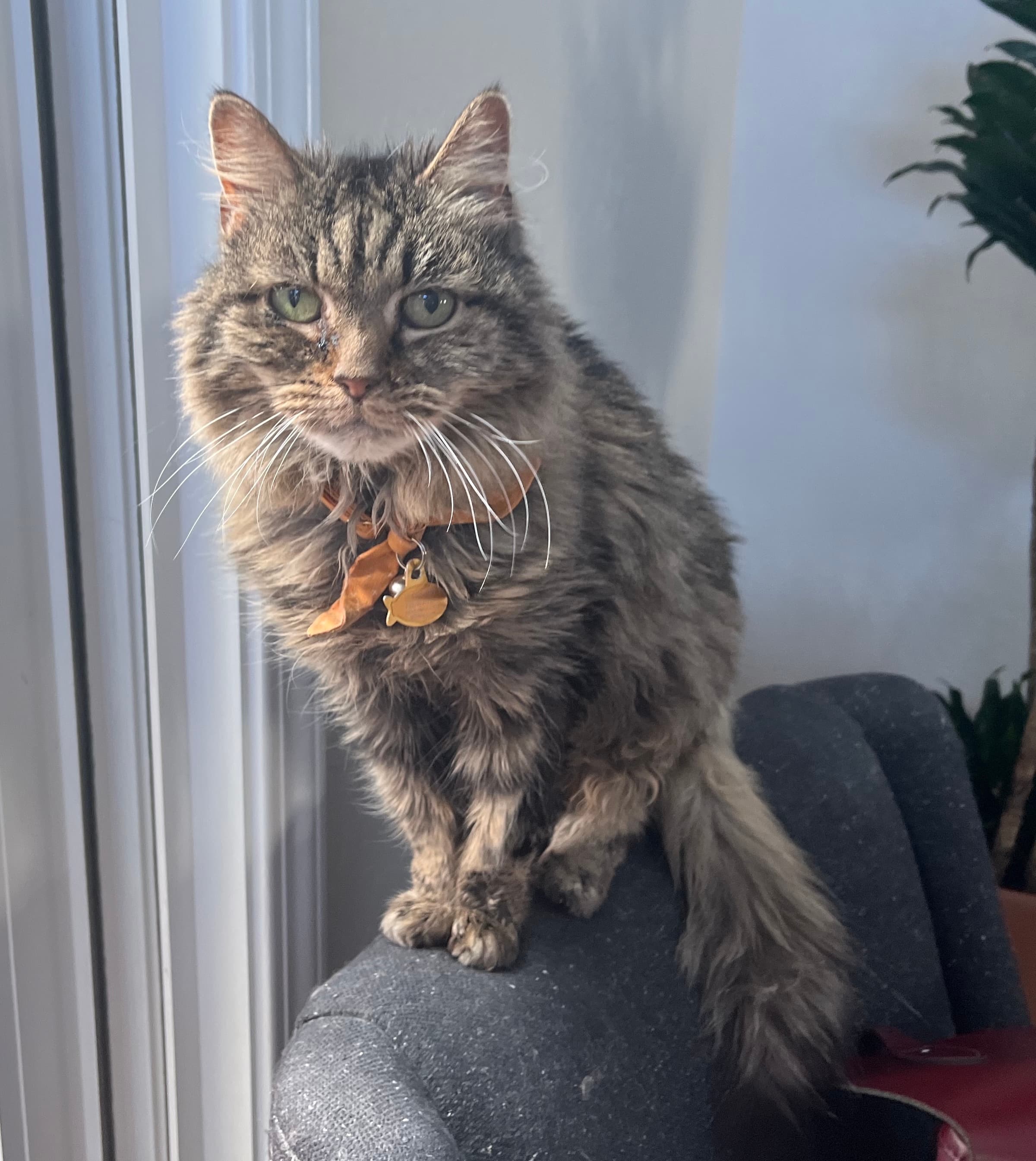 Memorial photo of Maica