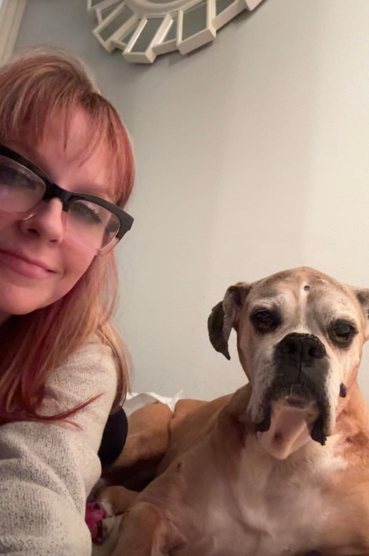 Memorial photo of Harley