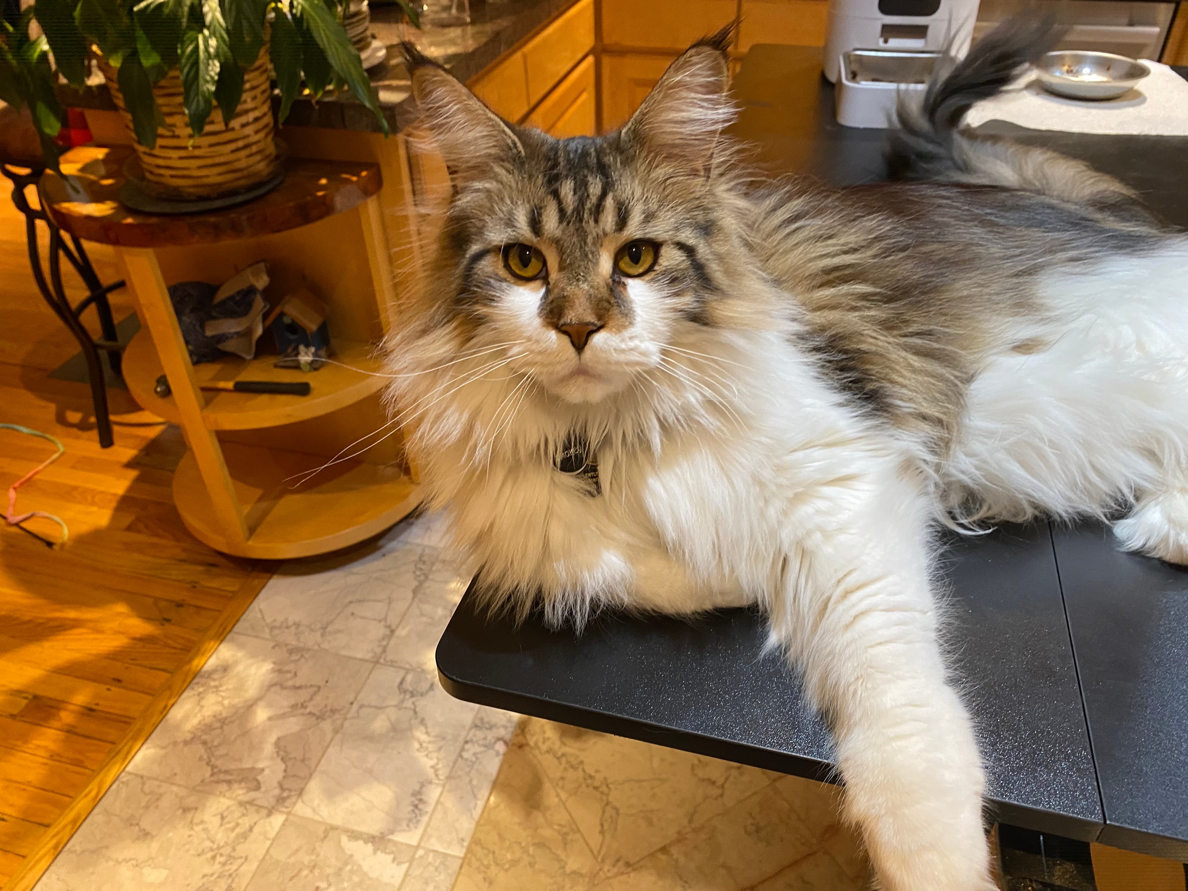 Review by Kathy L.