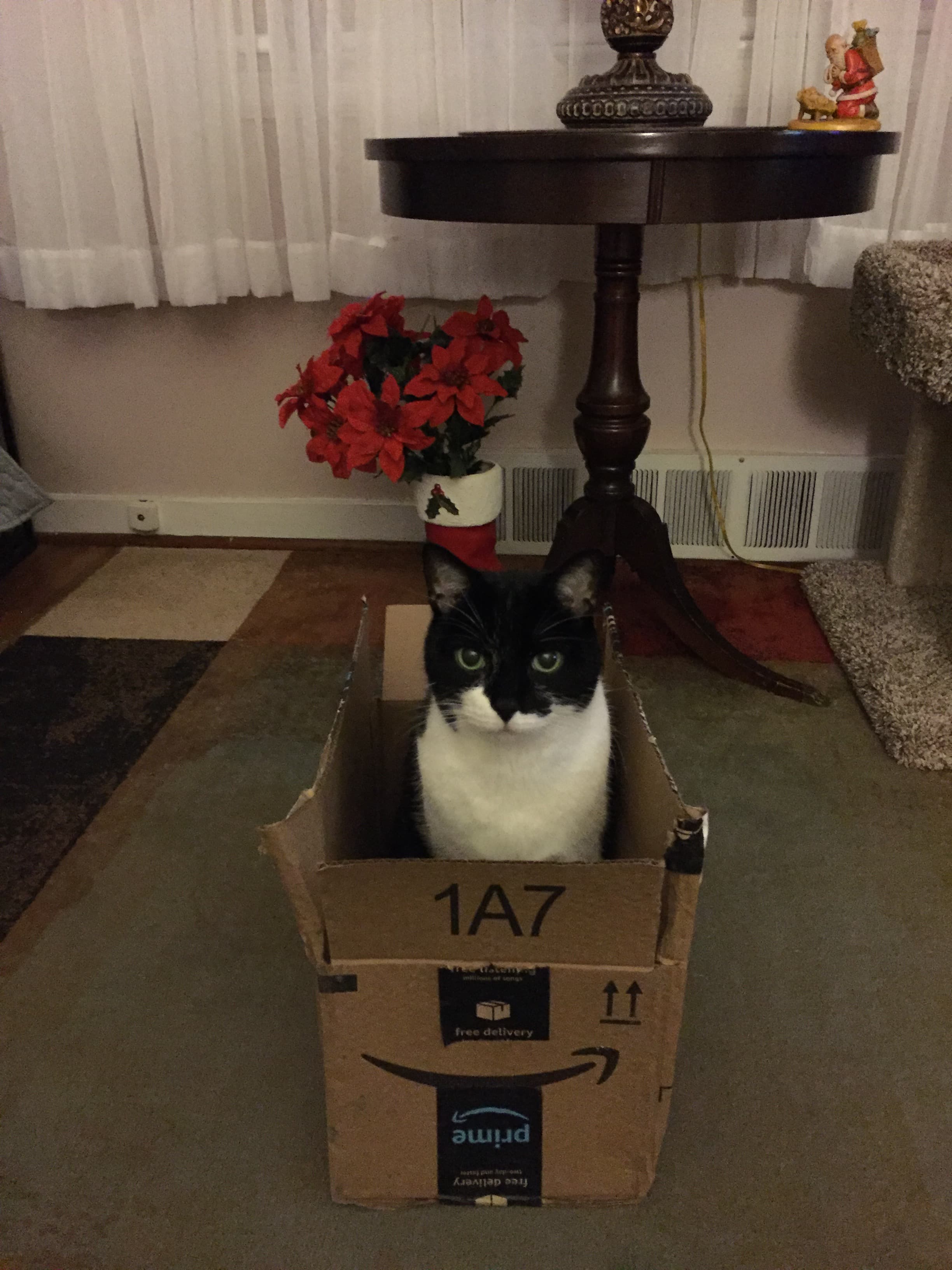 Review by Yvonne J.