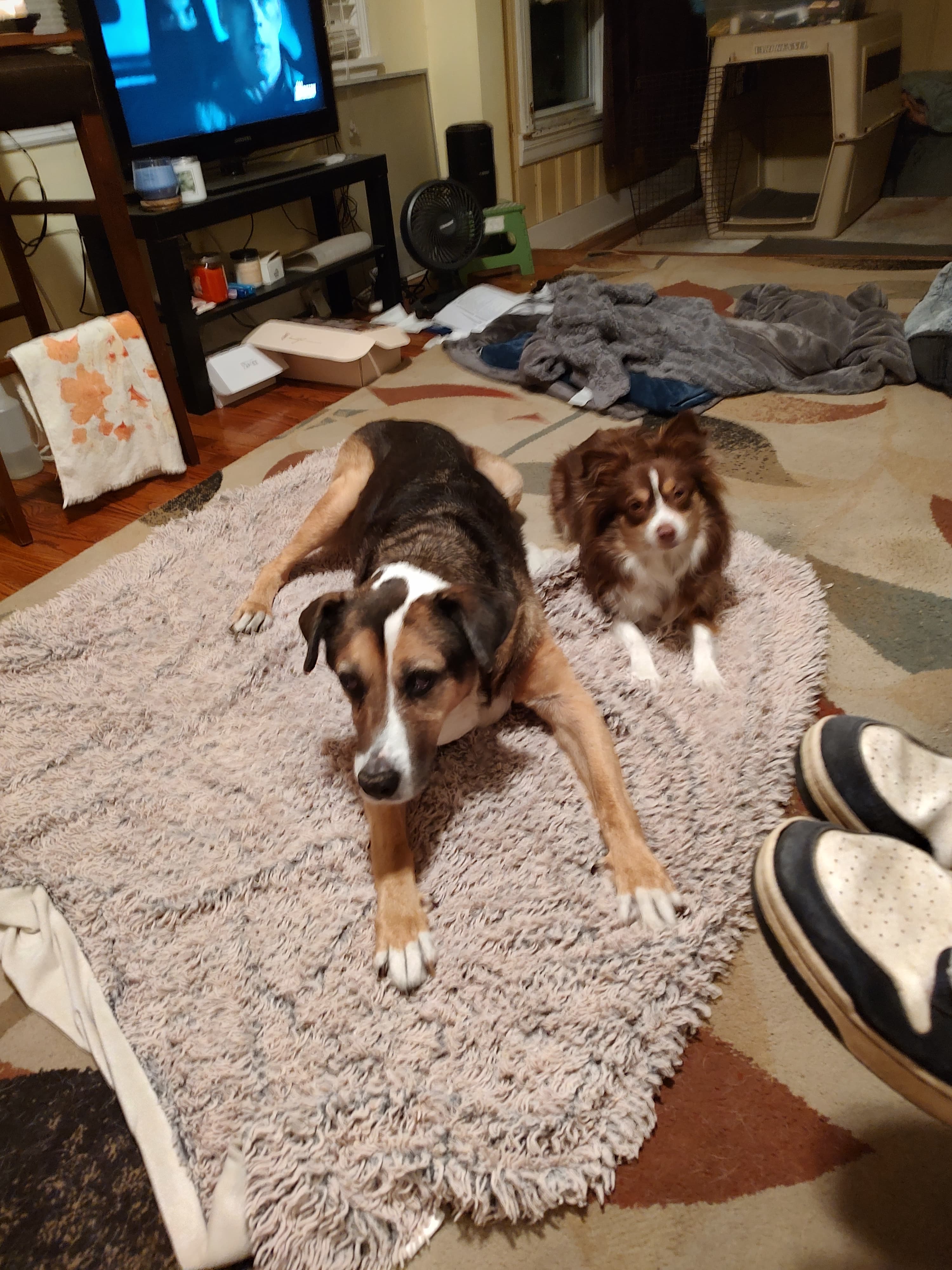 Review by Emily B.