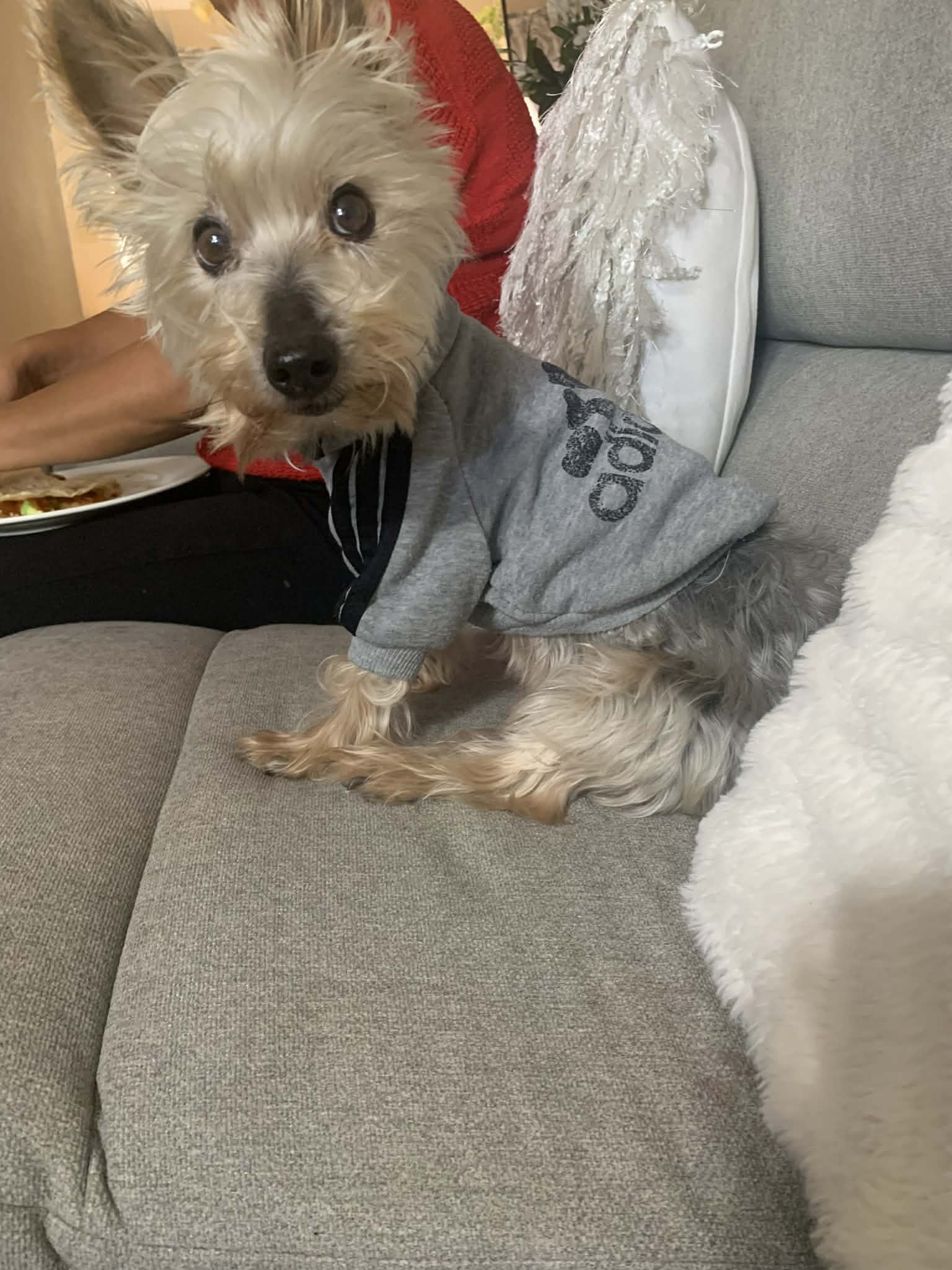 Memorial photo of Fred