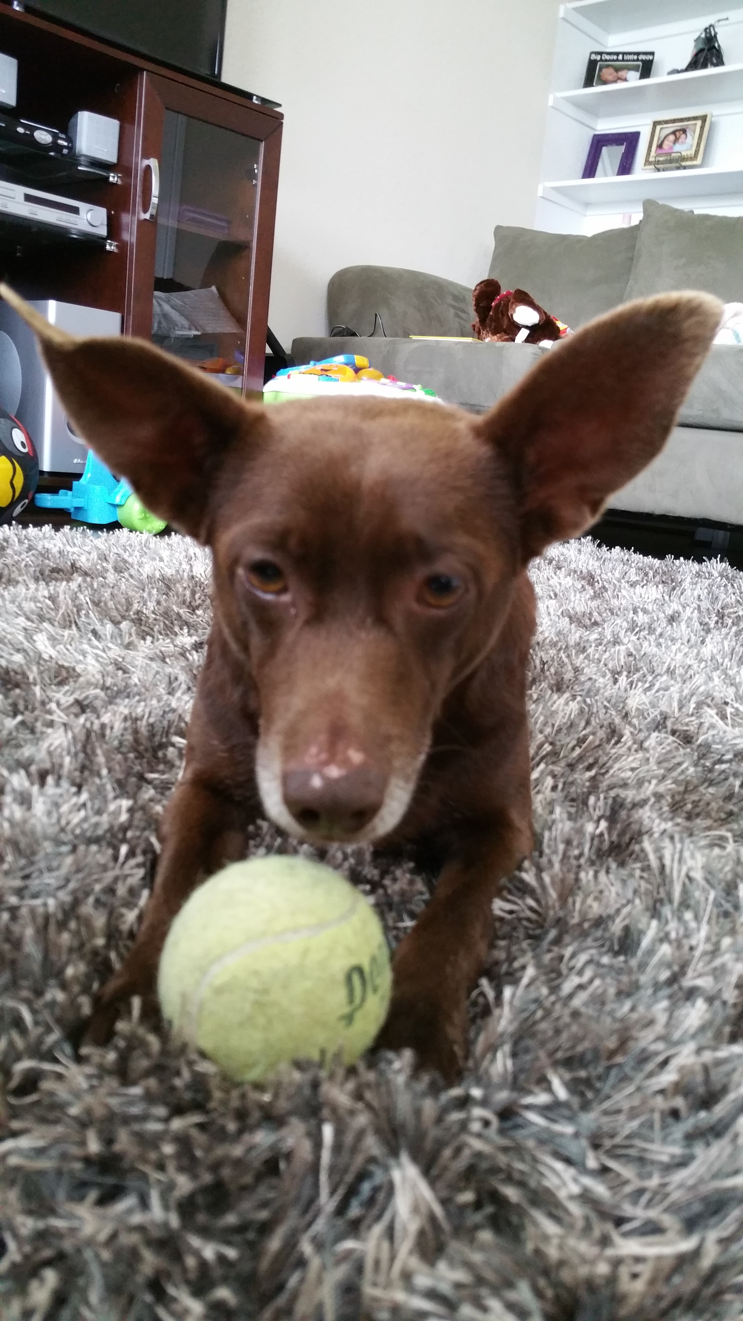 Review by Lisa P.