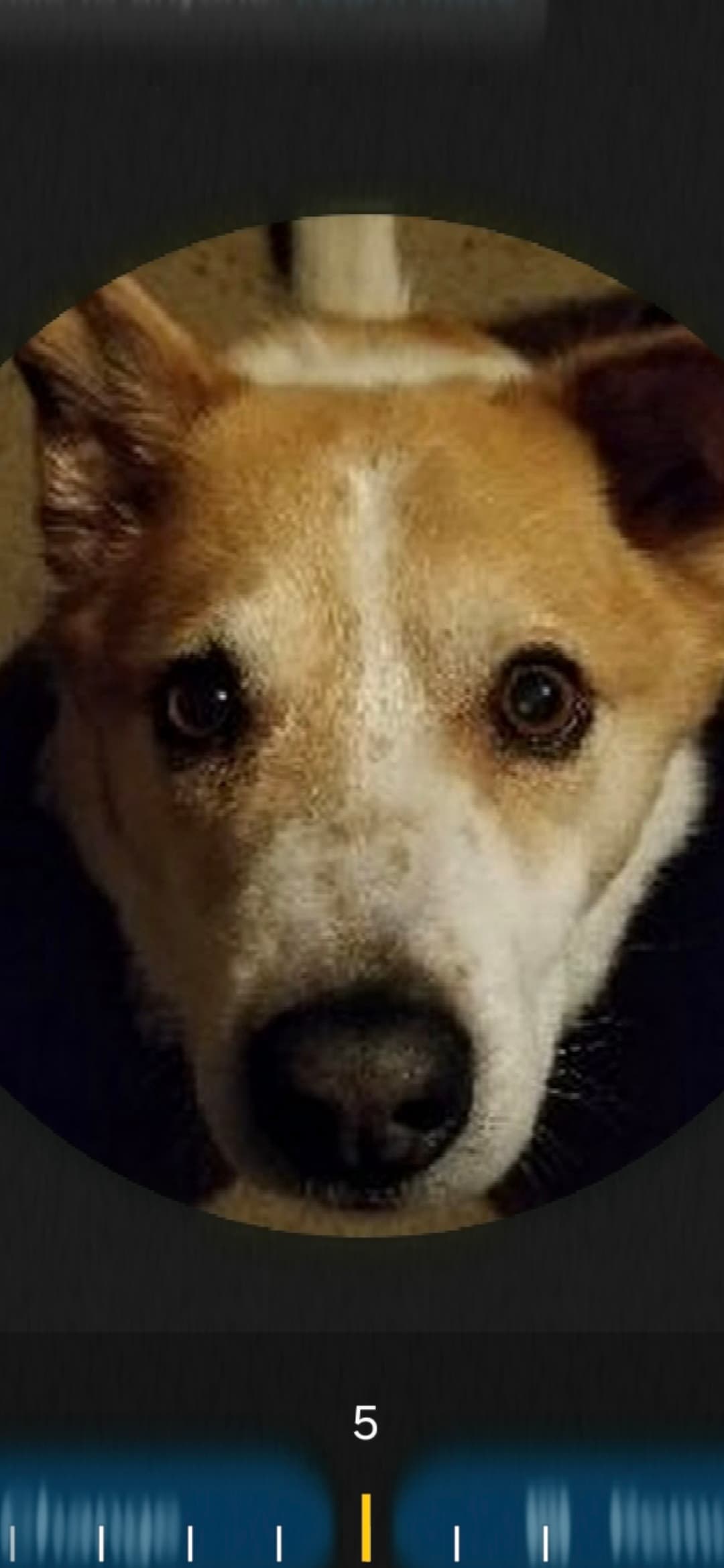 Memorial photo of Steve