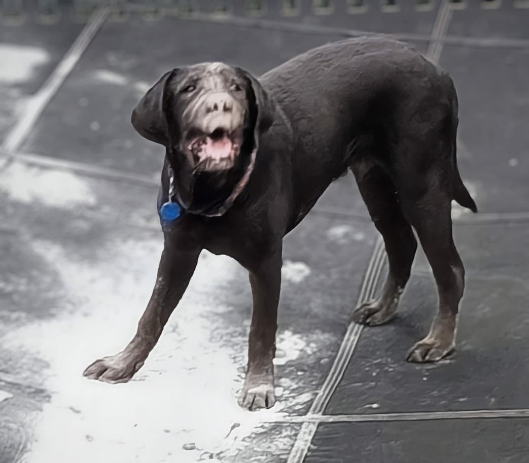 Memorial photo of Buddy BateMince