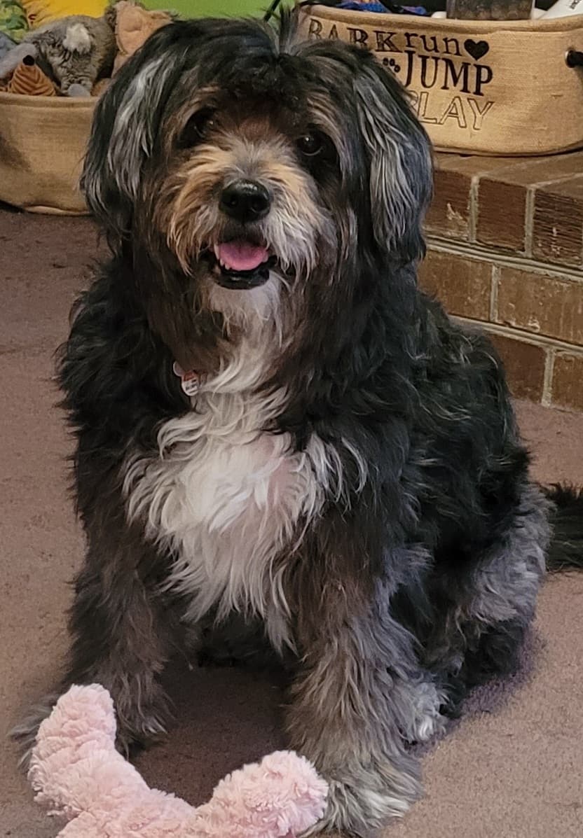 Memorial photo of Hannah