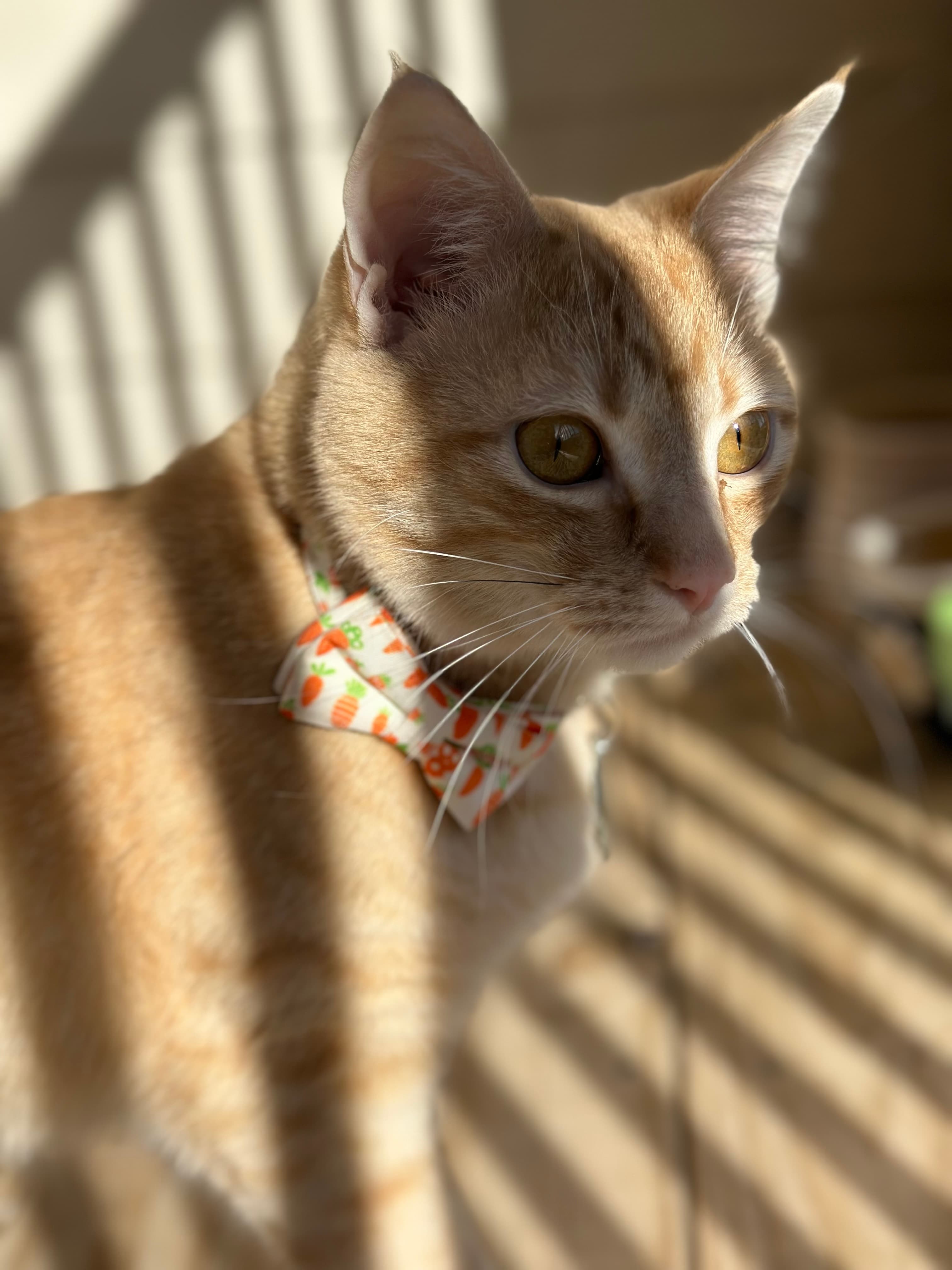Memorial photo of Ragnar