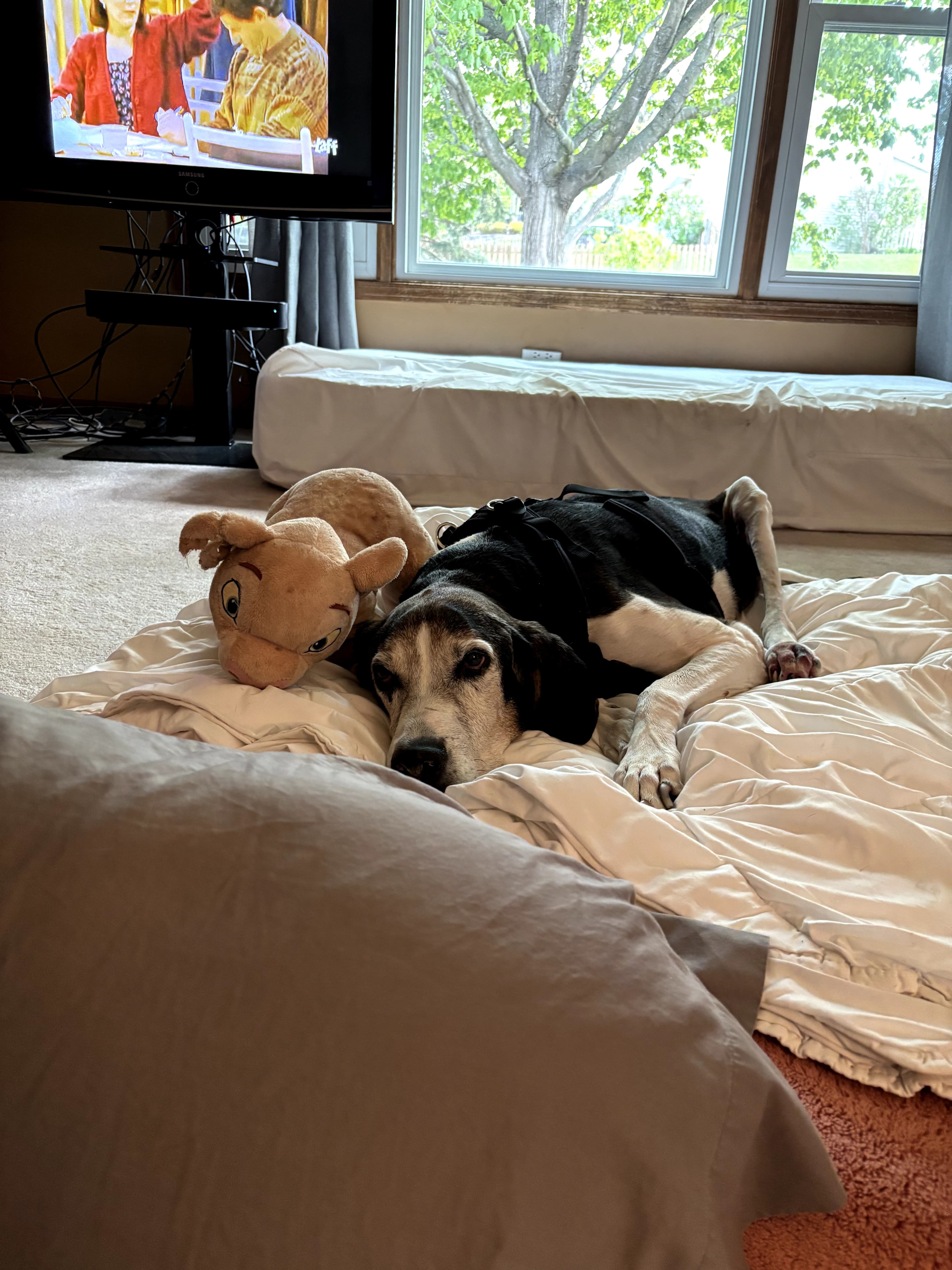Memorial photo of Benny