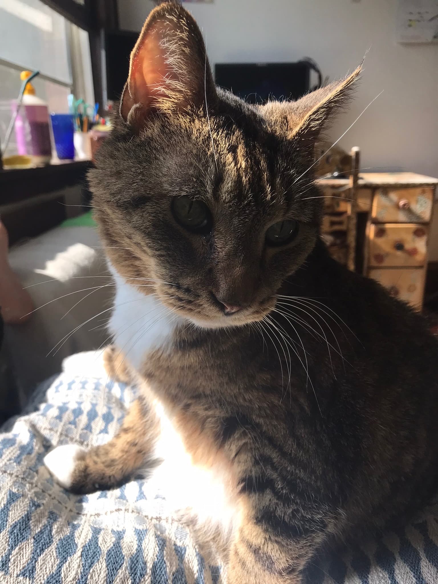 Memorial photo of Jacques