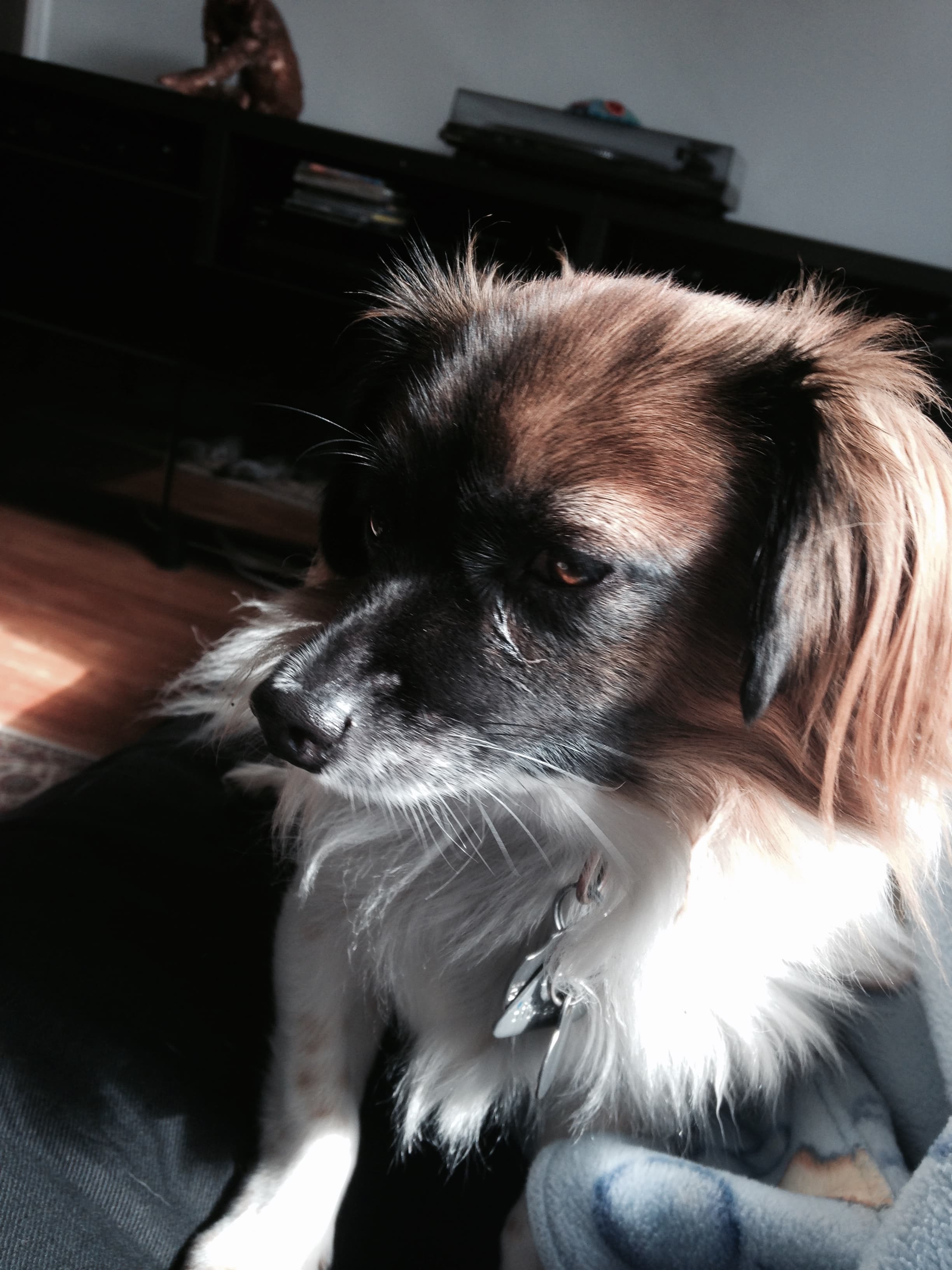 Review by Lisa F.