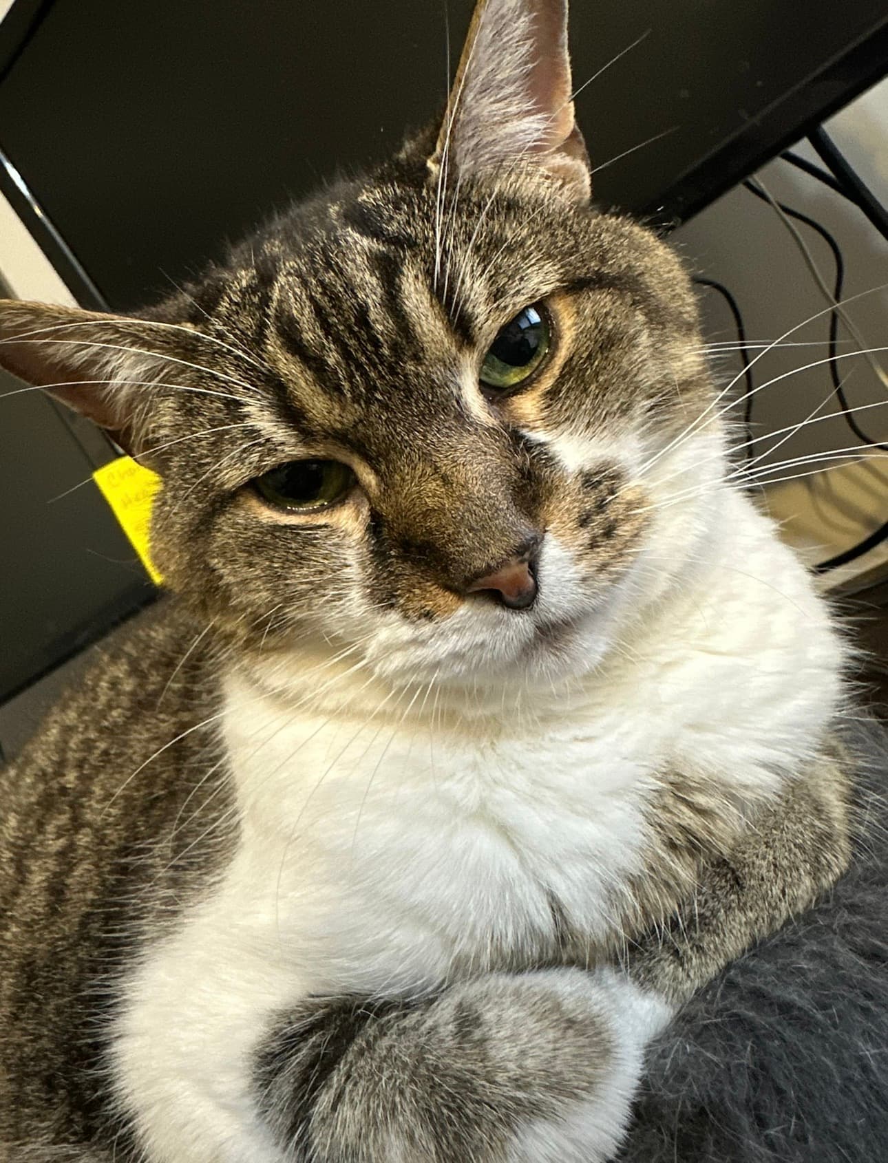 Memorial photo of Tom