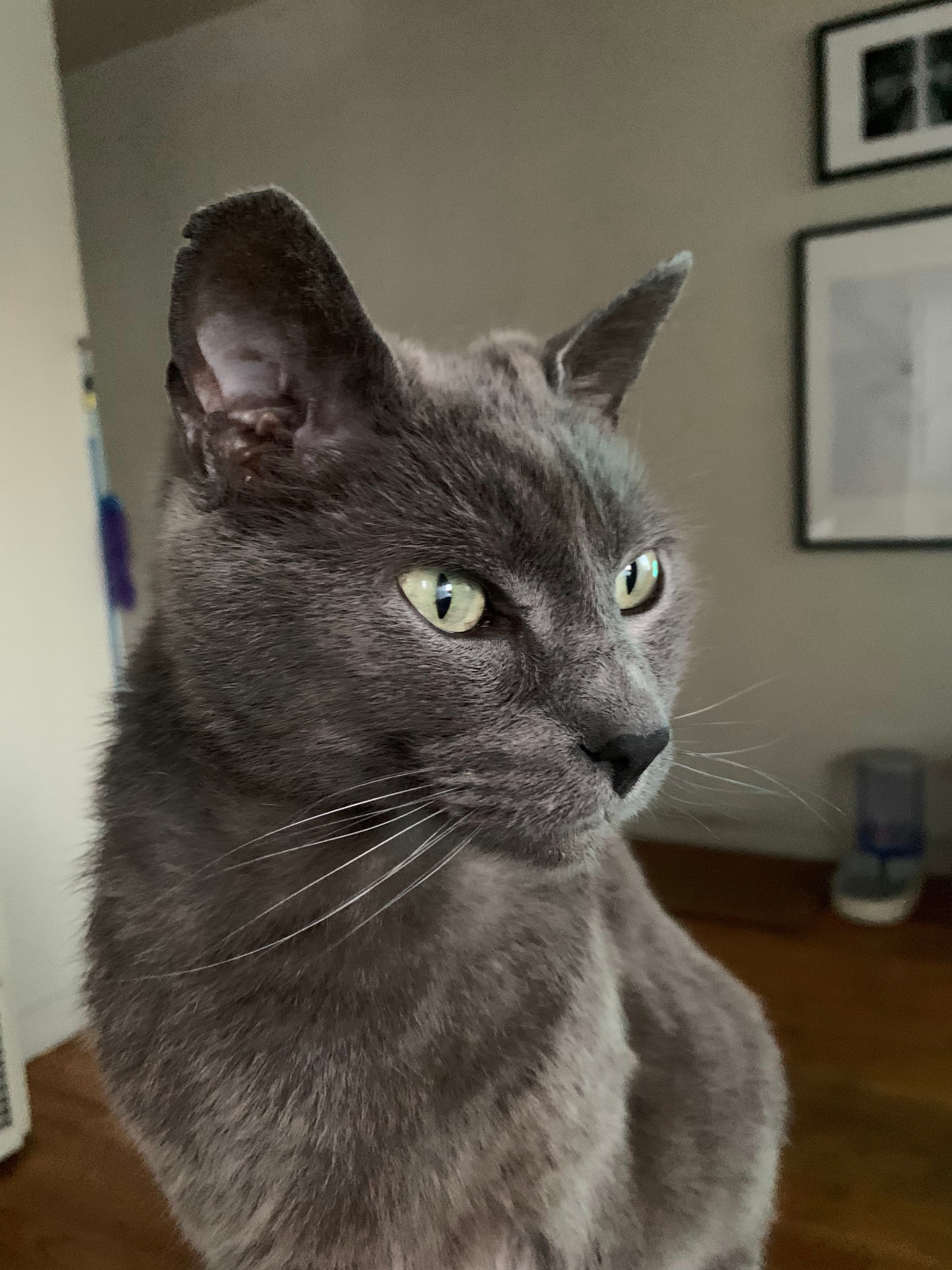 Memorial photo of Luciano