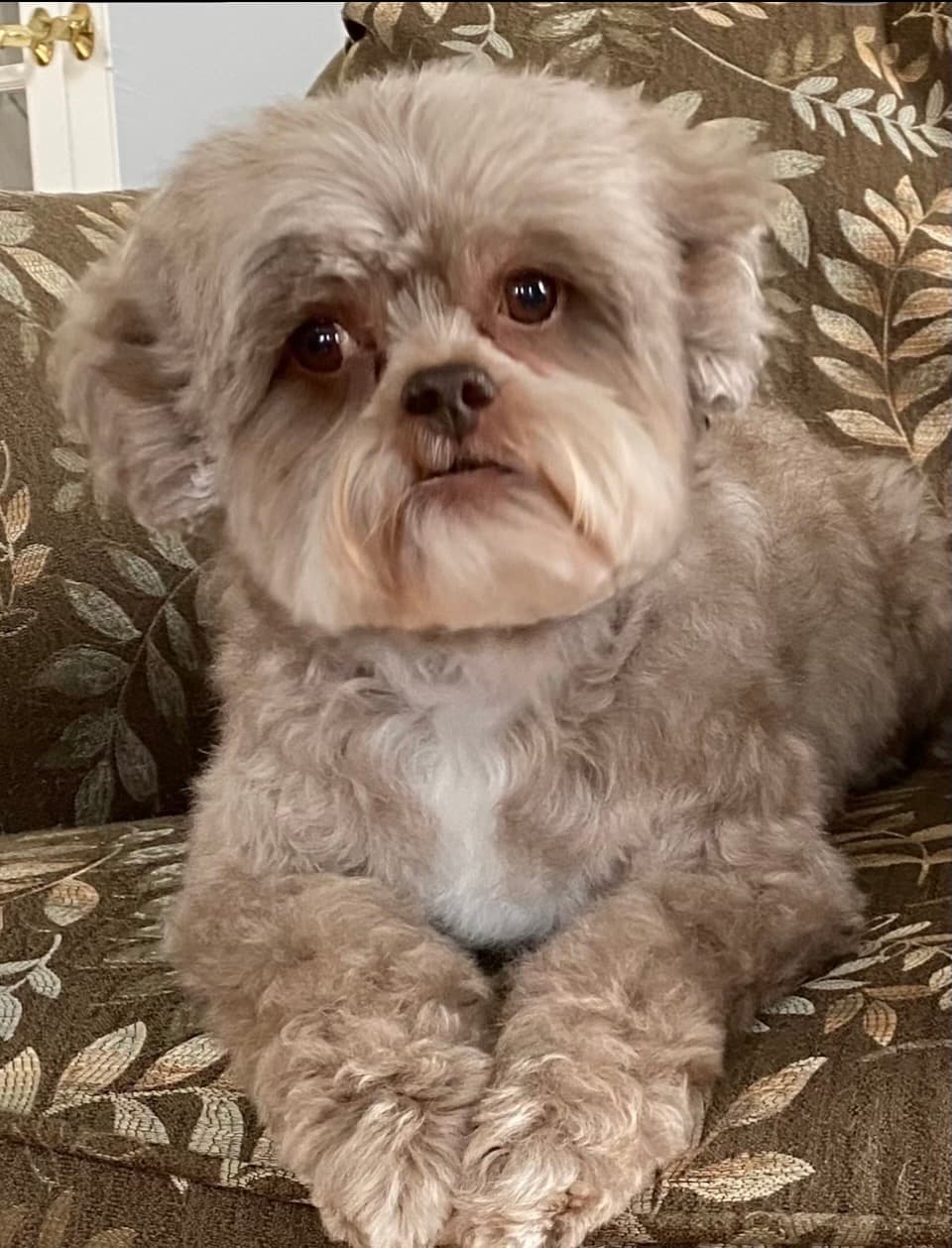 Memorial photo of Tootsie