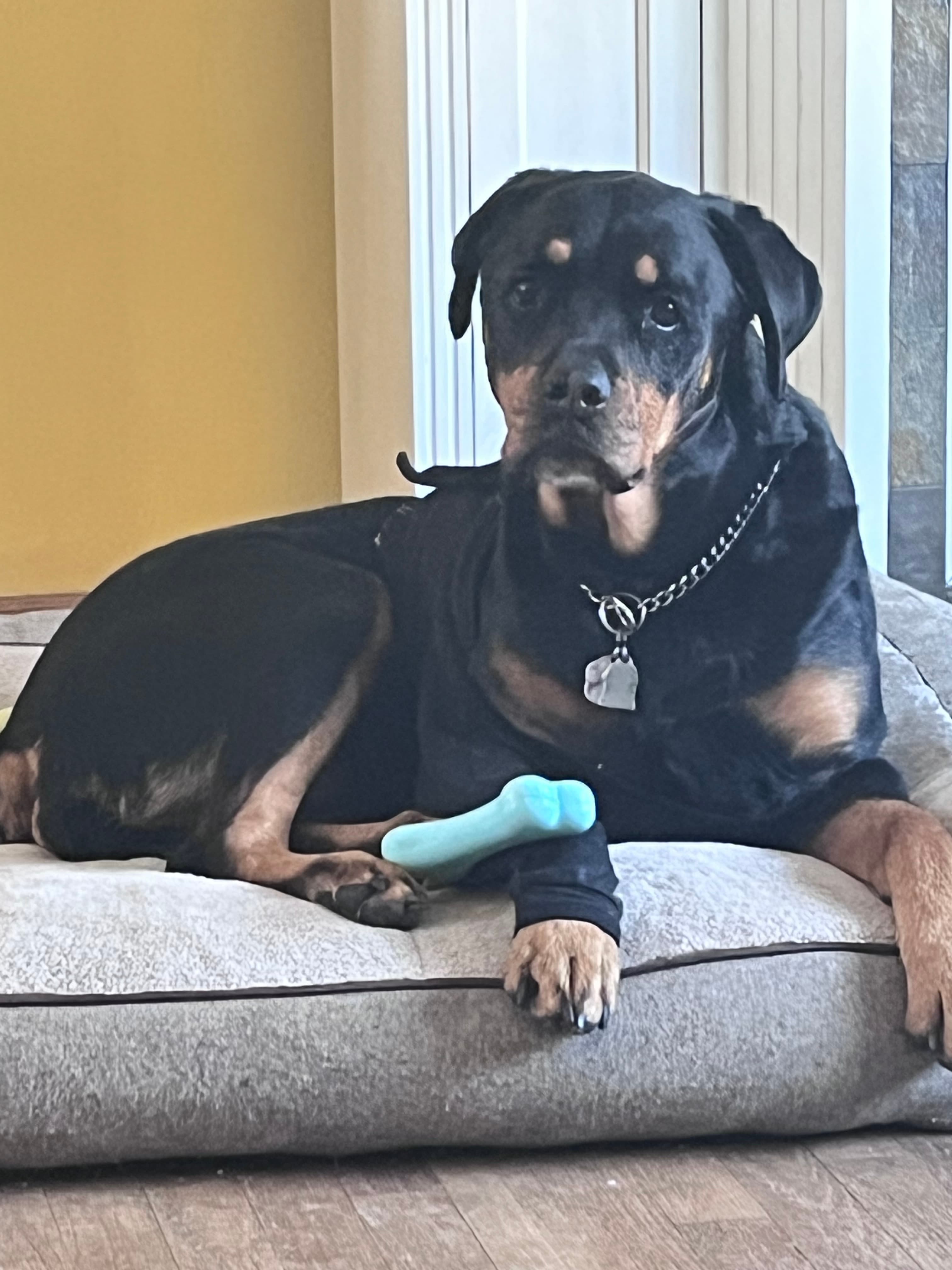 Memorial photo of Rizzo