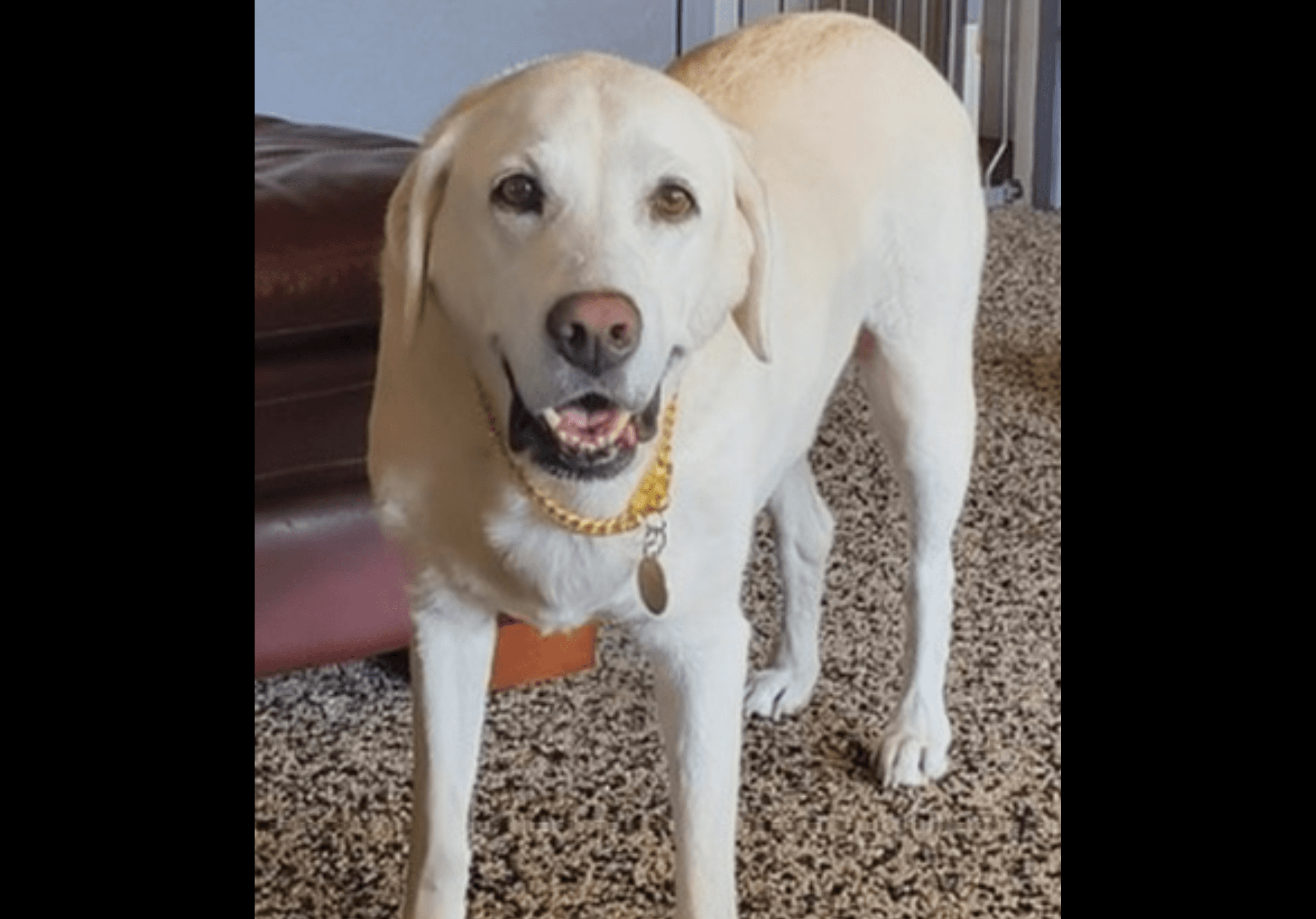 Memorial photo of Samantha