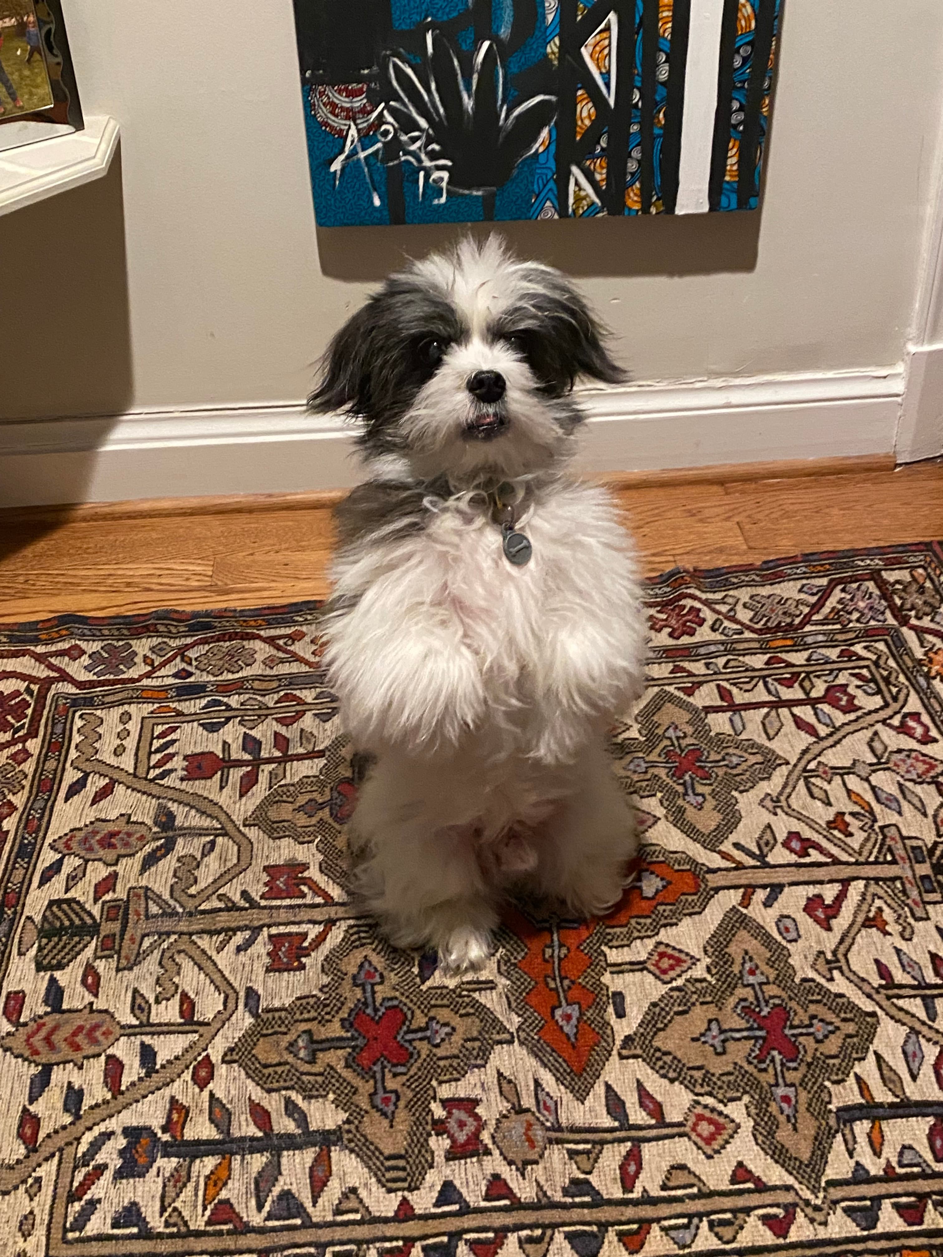 Review by Daniel L.