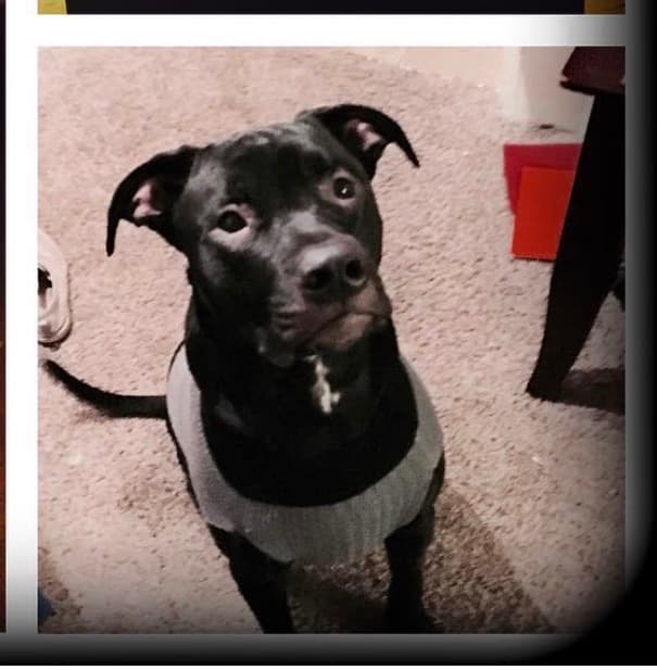 Review by Shaina B.
