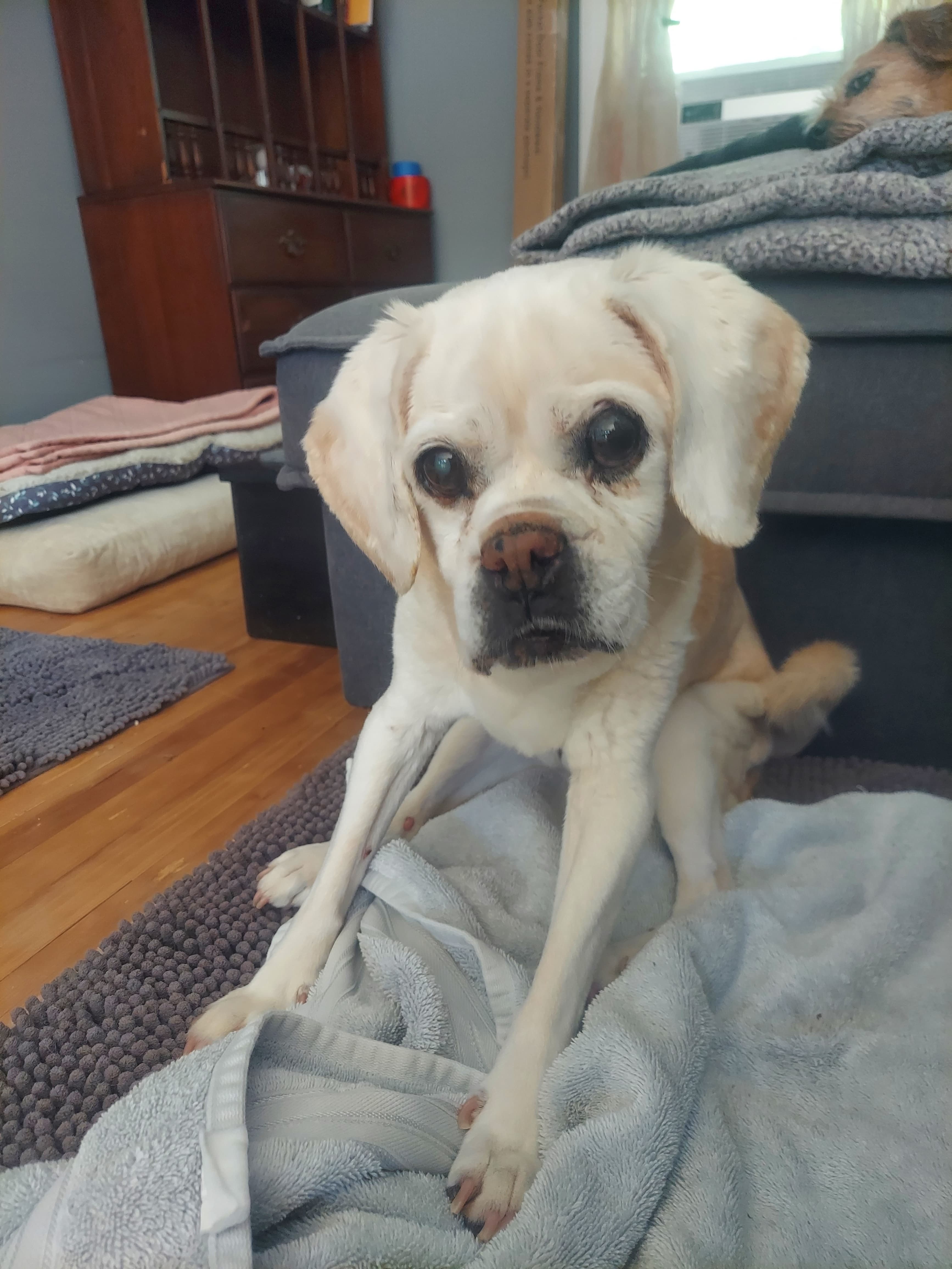 Memorial photo of Rylie
