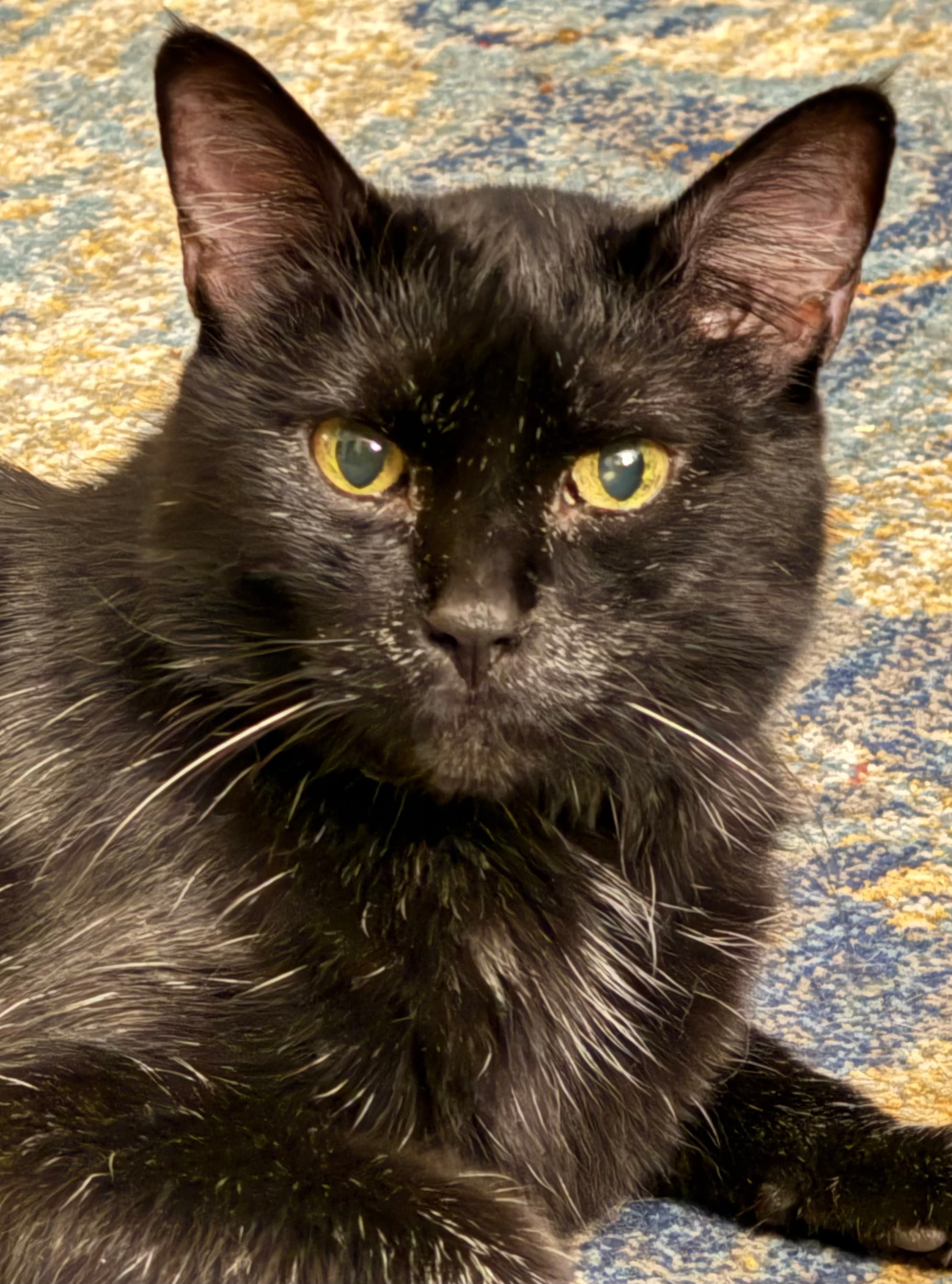 Memorial photo of Ziggy Davenport
