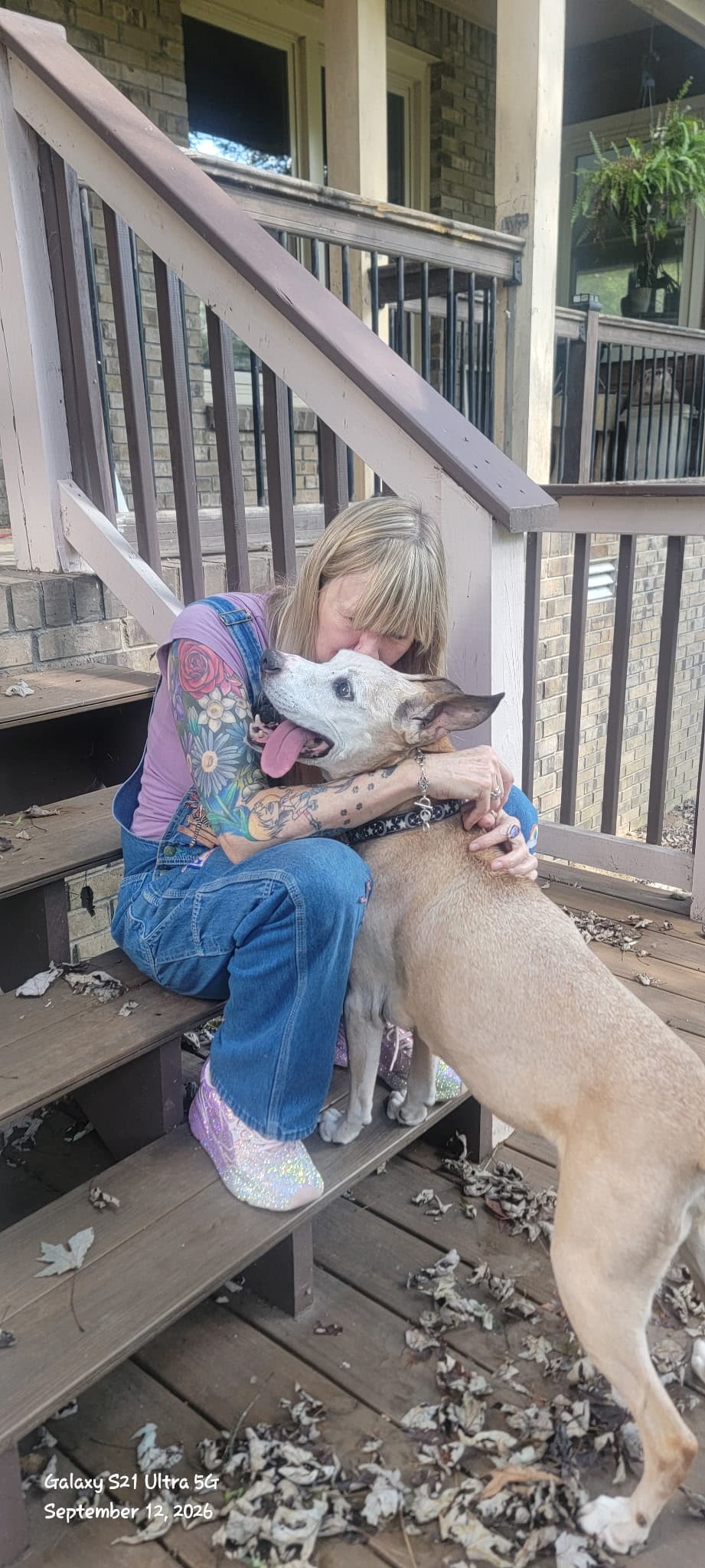 Memorial photo of Rollo Dog
