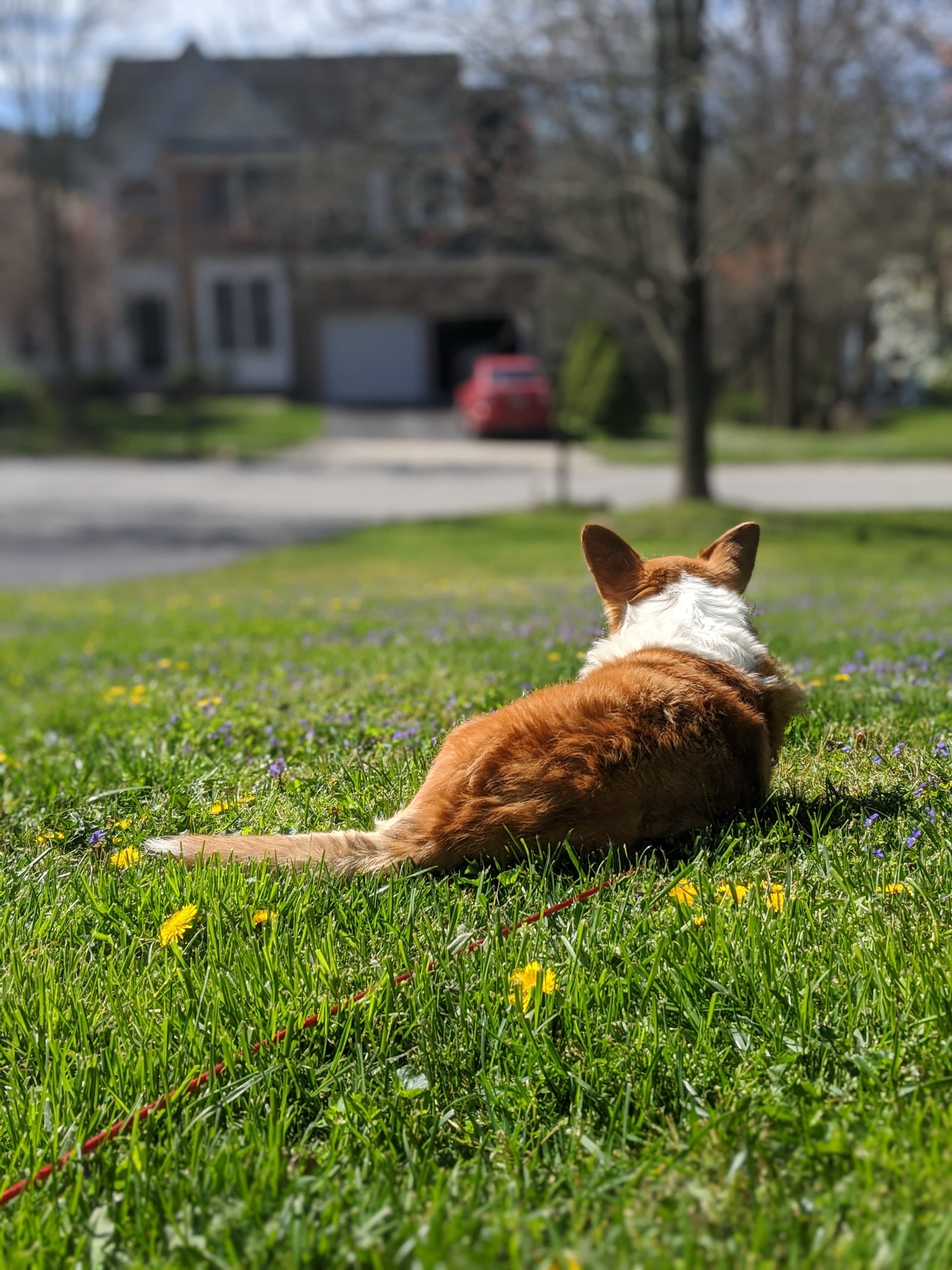 Memorial photo of Holly