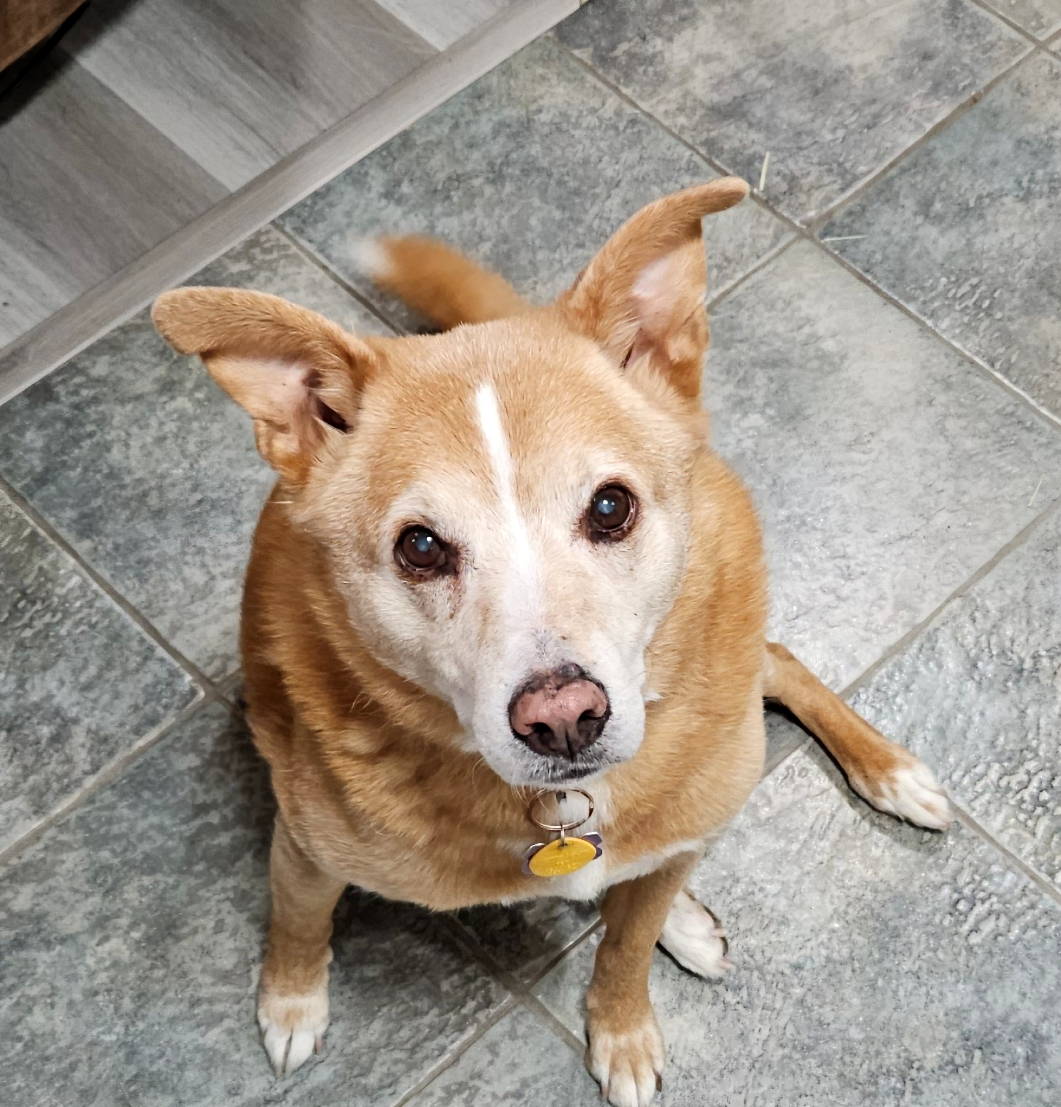 Memorial photo of Zeus