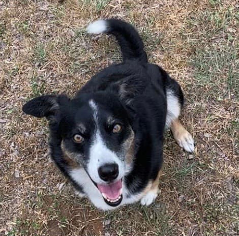 Memorial photo of tessa bonita