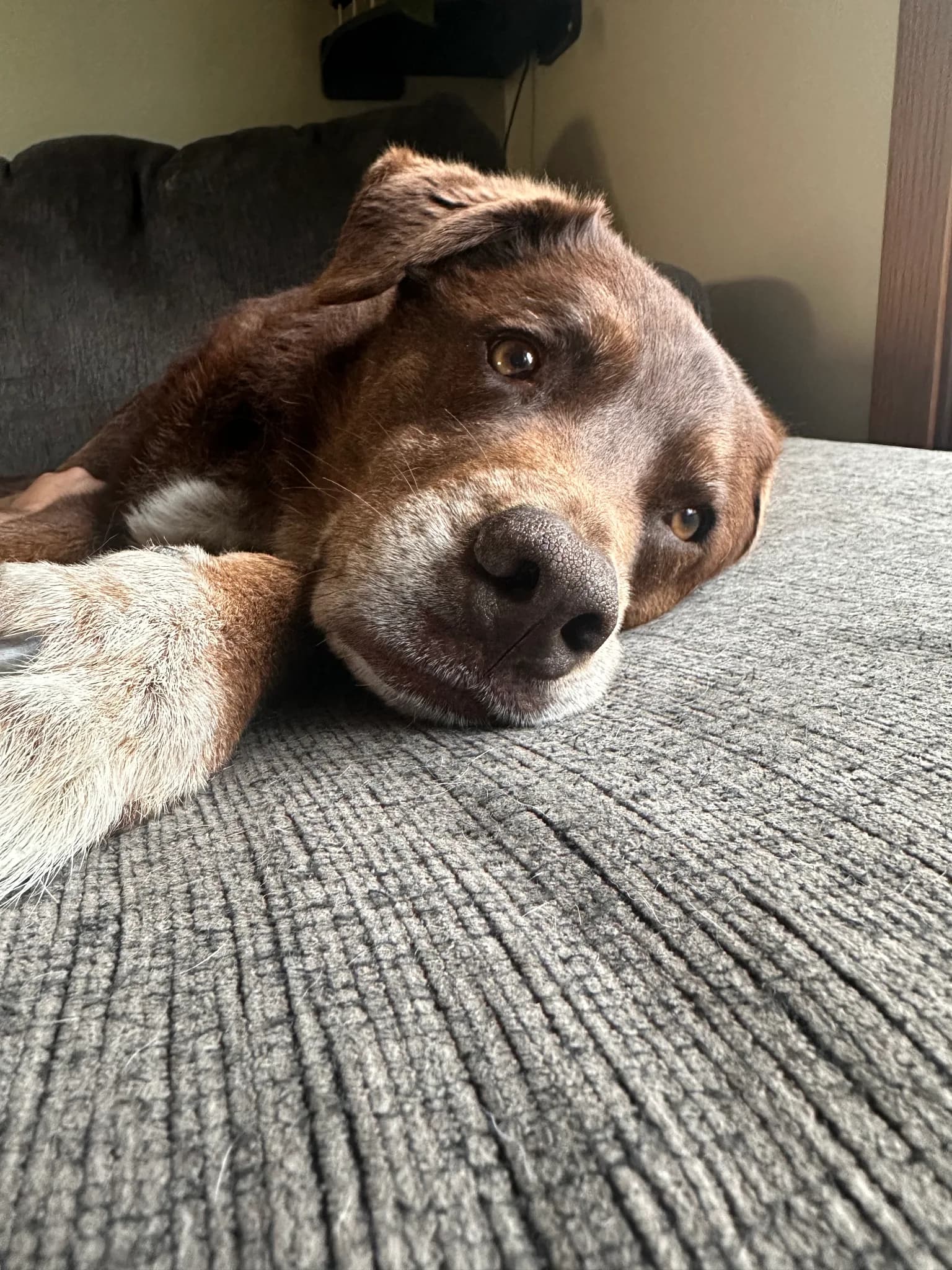 Memorial photo of Bane