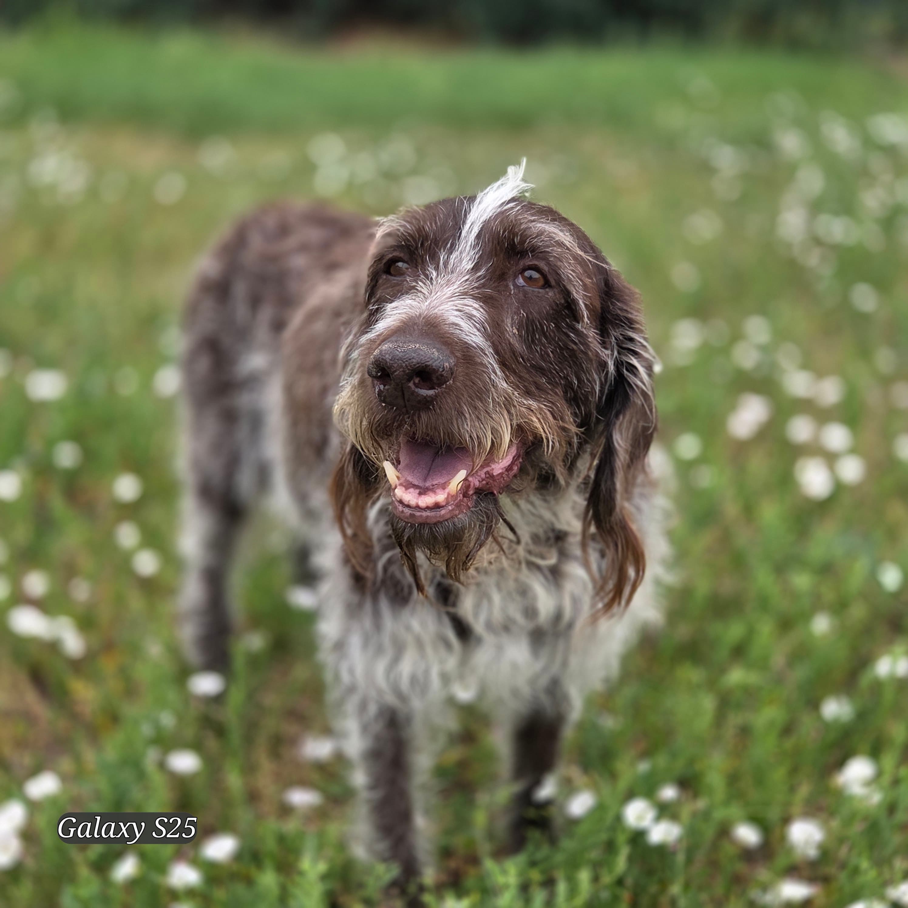 Memorial photo of Makya