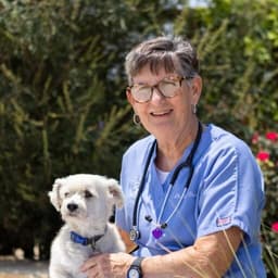 Dr. Susie Chandler