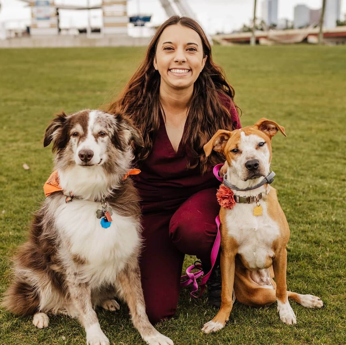 Dr. Miranda Collins
