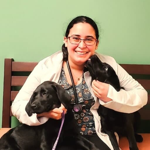 Photo of Dr. Evymarie Prado Sanchez